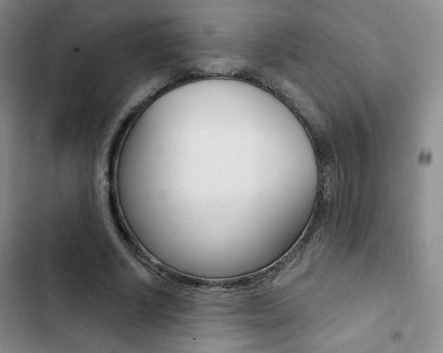 X0000102820634200808181026