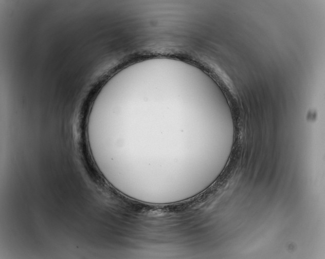 X0000102820635200808181026