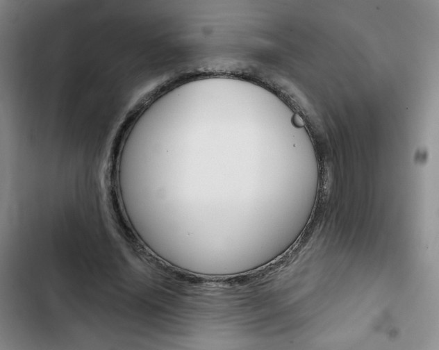 X0000102820636200808181026