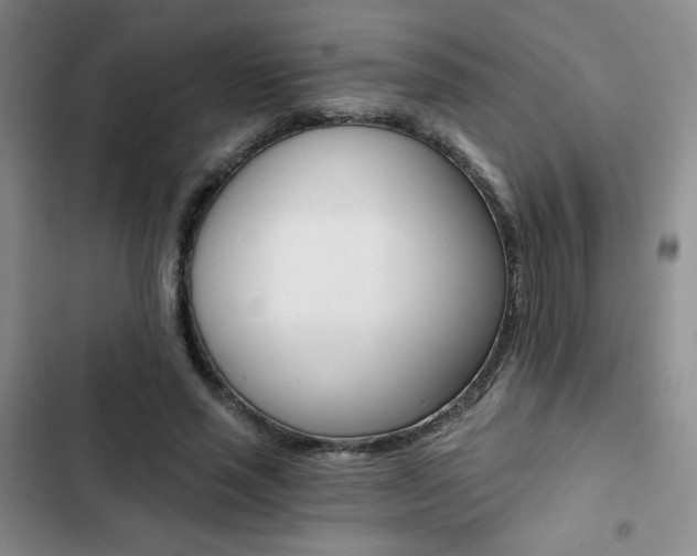X0000102820637200808181026