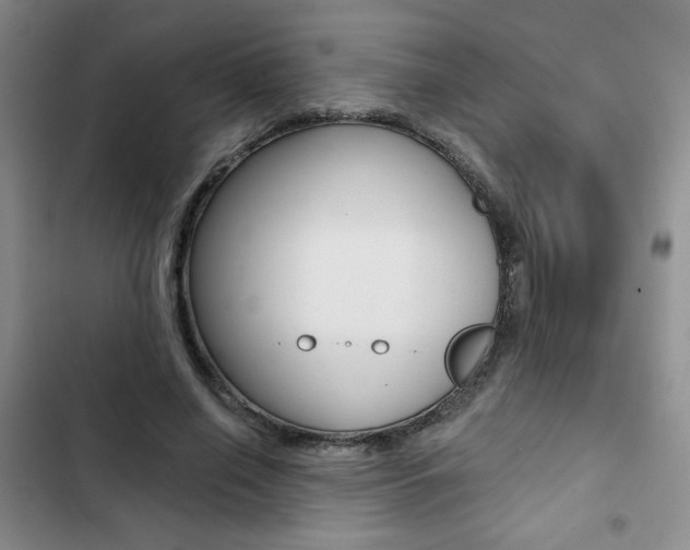 X0000102820638200808181026