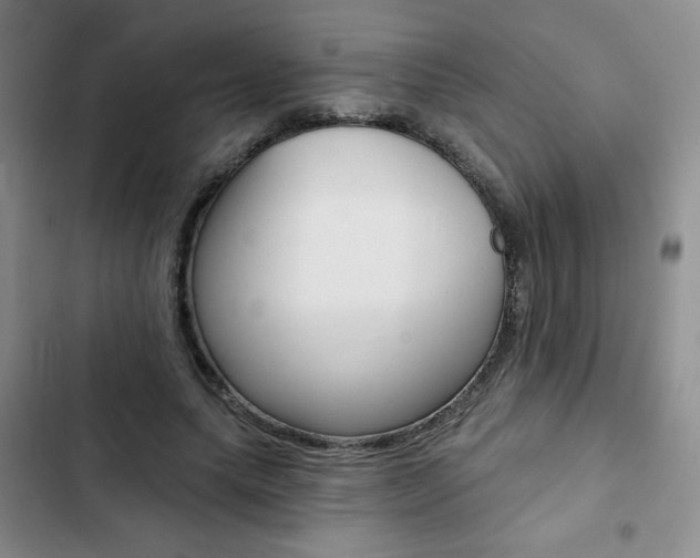 X0000102820639200808181026