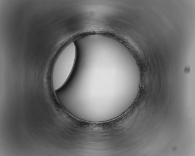 X0000102820640200808181026