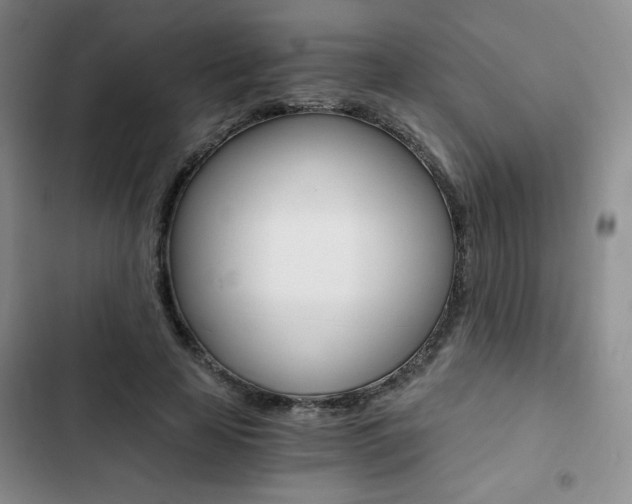 X0000102820641200808181026