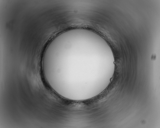 X0000102820642200808181026