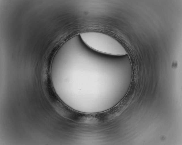 X0000102820644200808181026