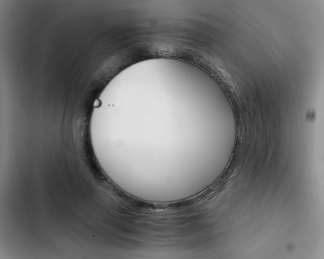 X0000102820645200808181026