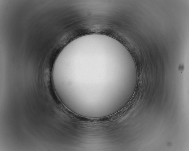 X0000102820646200808181026