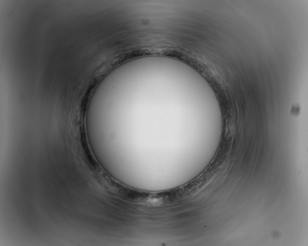 X0000102820647200808181026
