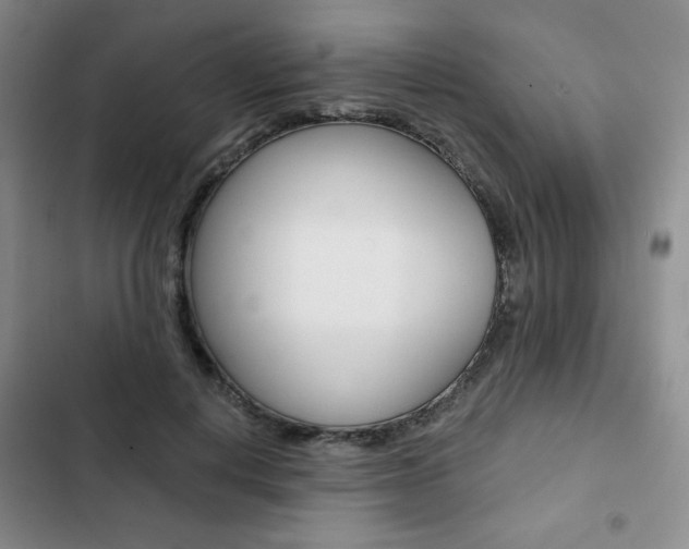 X0000102820648200808181026