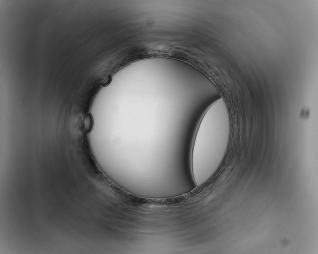 X0000102820649200808181026