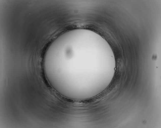 X0000102820650200808181026