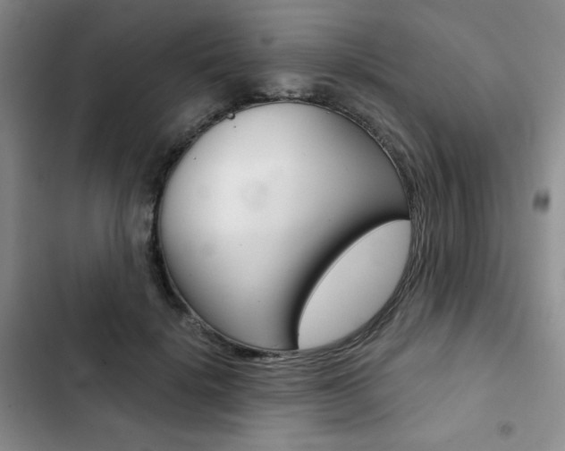 X0000102820652200808181026