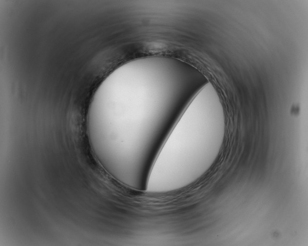 X0000102820653200808181026