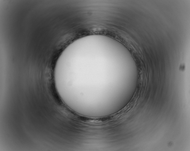 X0000102820654200808181026