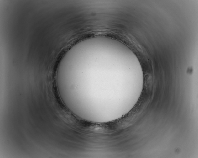 X0000102820655200808181026