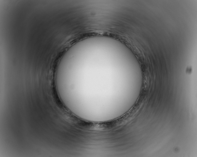 X0000102820656200808181026