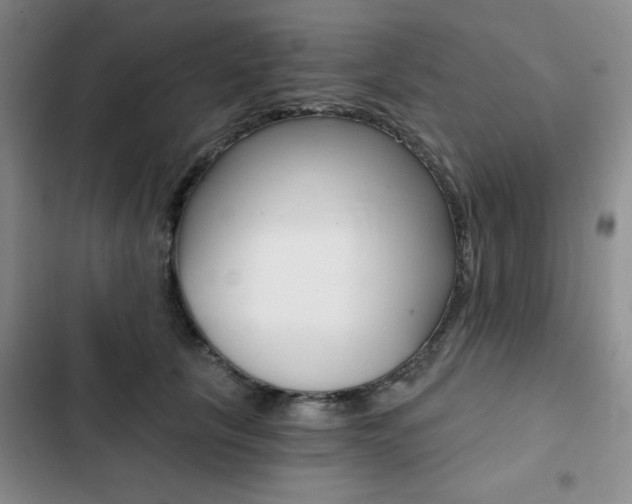 X0000102820657200808181026