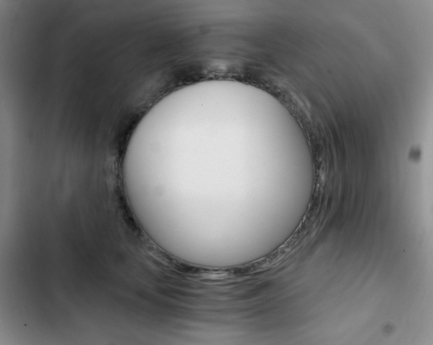 X0000102820659200808181026