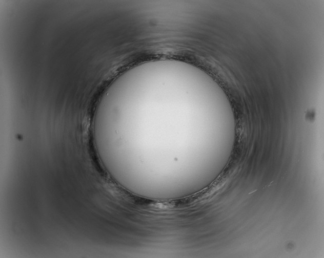 X0000102820660200808181026