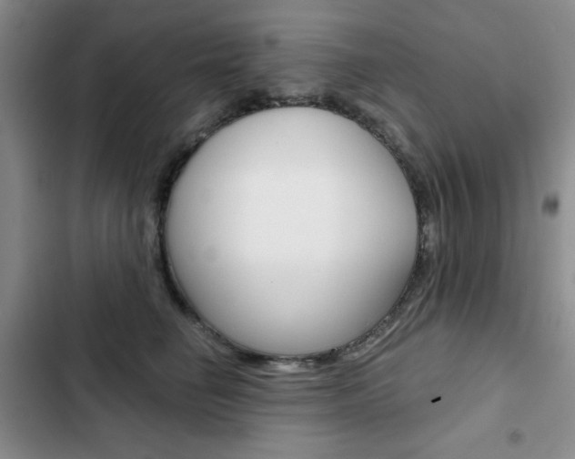 X0000102820662200808181026