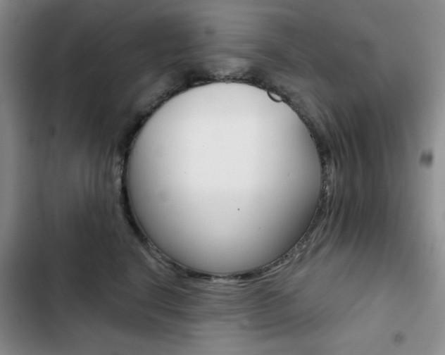 X0000102820664200808181026