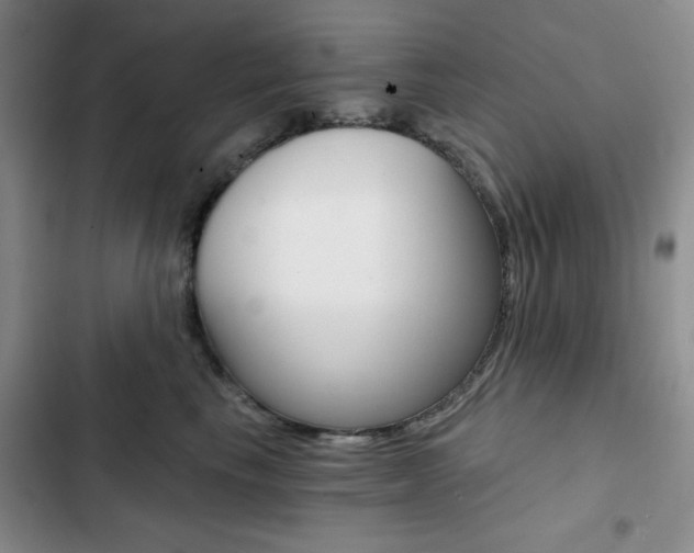 X0000102820665200808181026