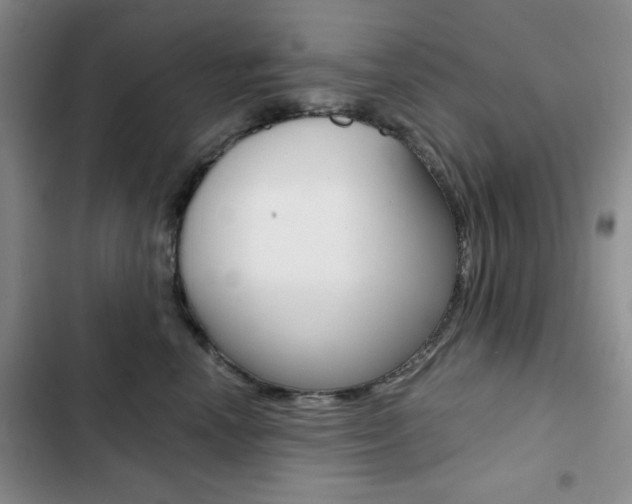X0000102820666200808181026