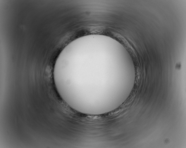 X0000102820667200808181026