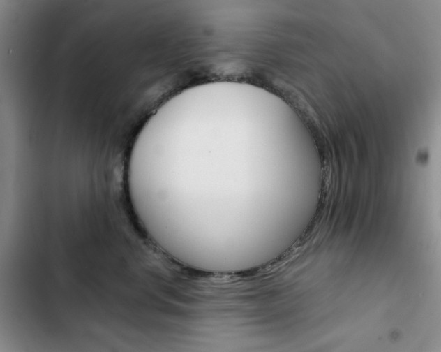 X0000102820668200808181026