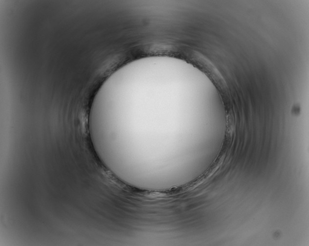 X0000102820669200808181026