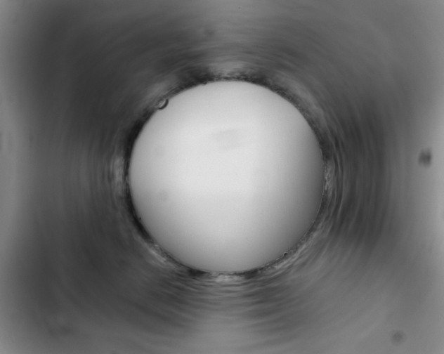 X0000102820670200808181026