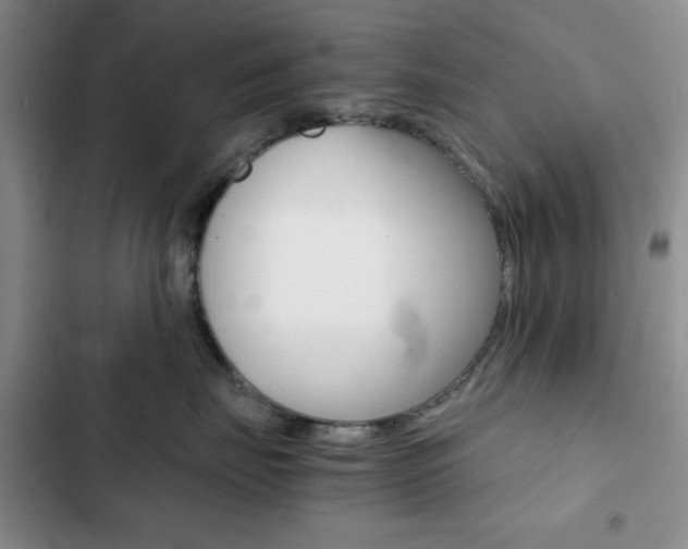 X0000102820671200808181026