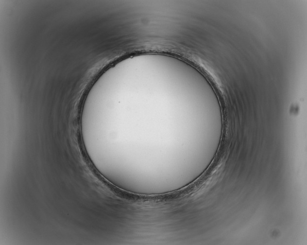 X0000102820673200808181026