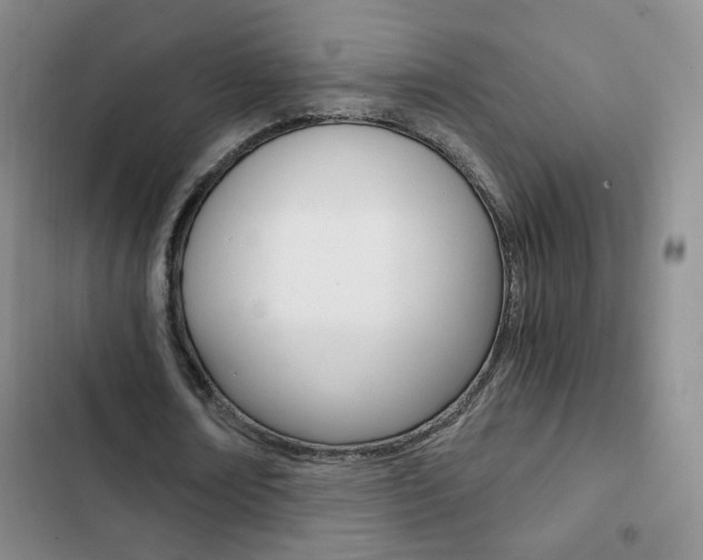 X0000102820674200808181026