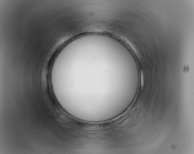 X0000102820675200808181026