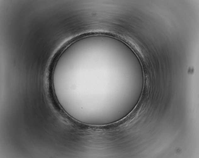 X0000102820676200808181026