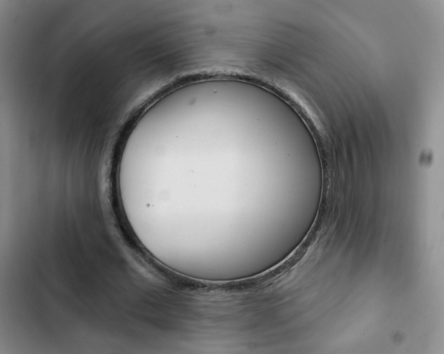 X0000102820677200808181025