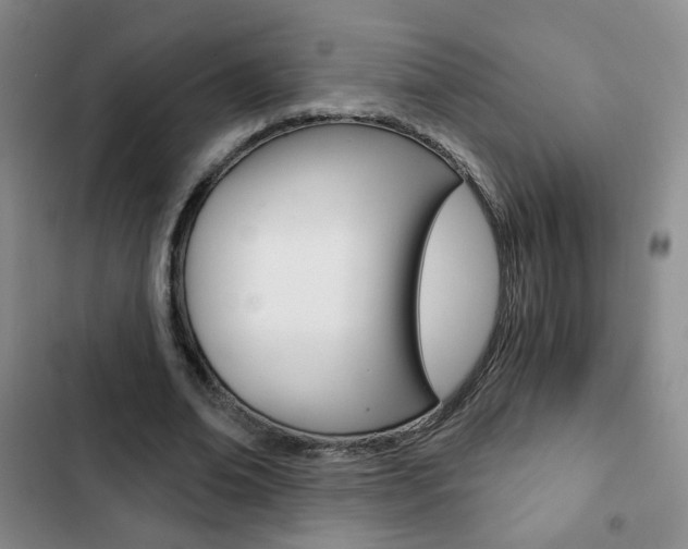 X0000102820678200808181025