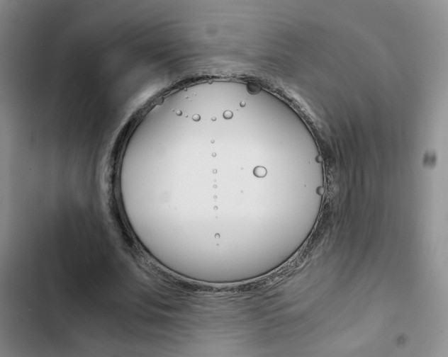 X0000102820679200808181025