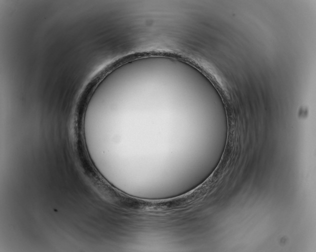 X0000102820680200808181025