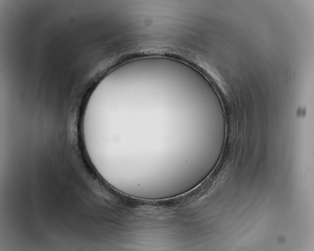 X0000102820681200808181025