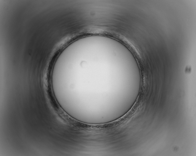 X0000102820682200808181025