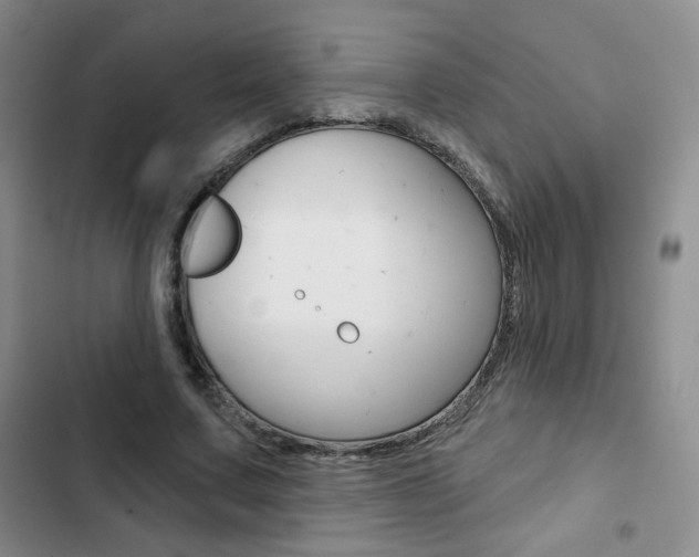 X0000102820683200808181025