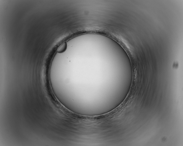 X0000102820684200808181025