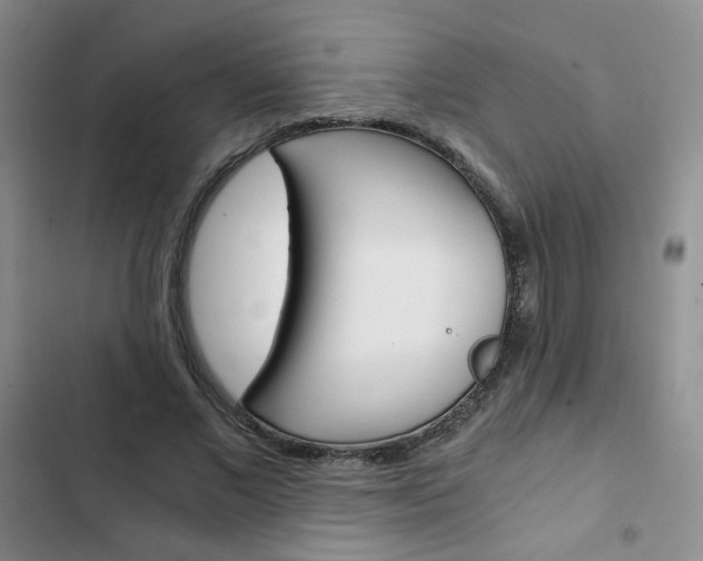 X0000102820685200808181025