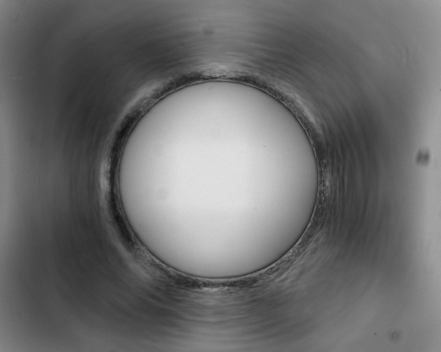 X0000102820686200808181025