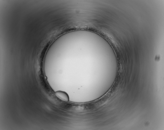 X0000102820687200808181025