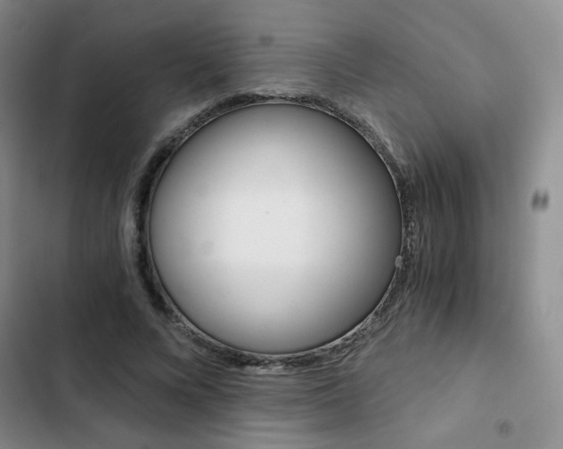 X0000102820688200808181025