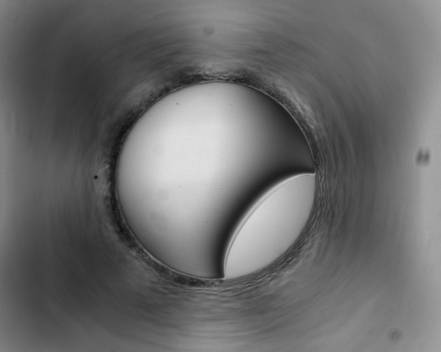 X0000102820689200808181025
